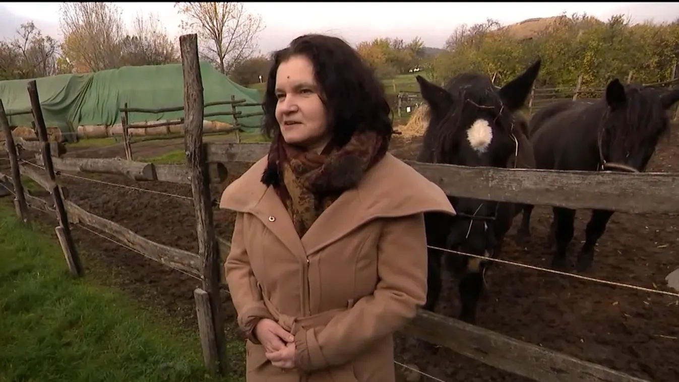 Mozaik - 20. alkalommal rendezik meg a Márton-napot a szentendrei skanzenben