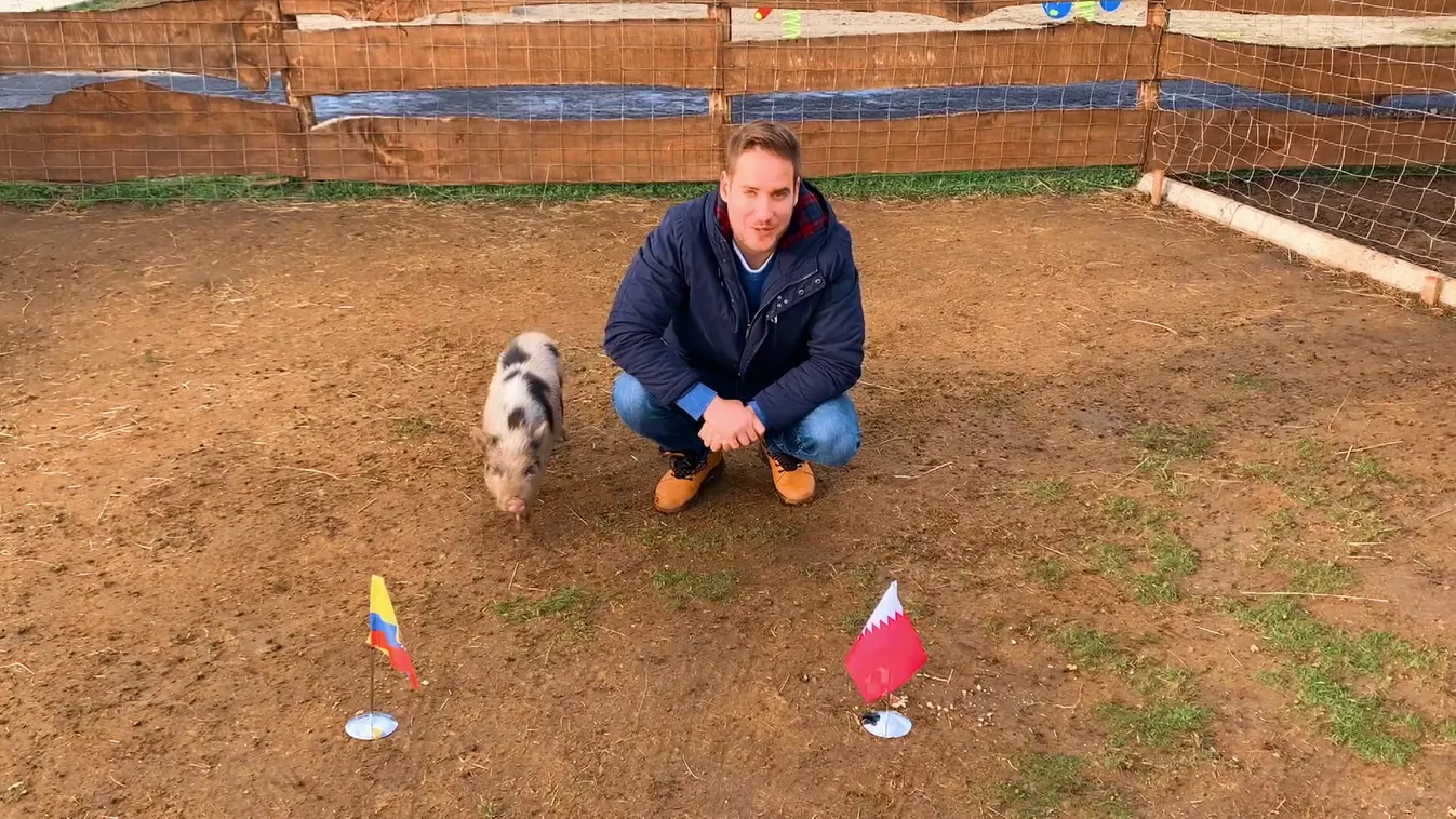 Radar - Különleges jóslat a foci vb alatt