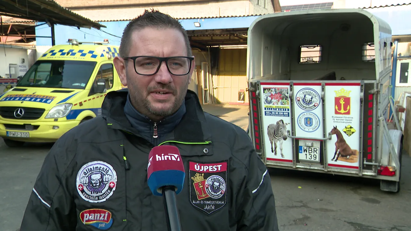 A háziállatok védelmére hívják fel a figyelmet szilveszter közeledtével