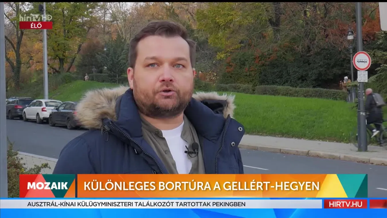 Mozaik - Különleges bortúra a Gellért-hegyen