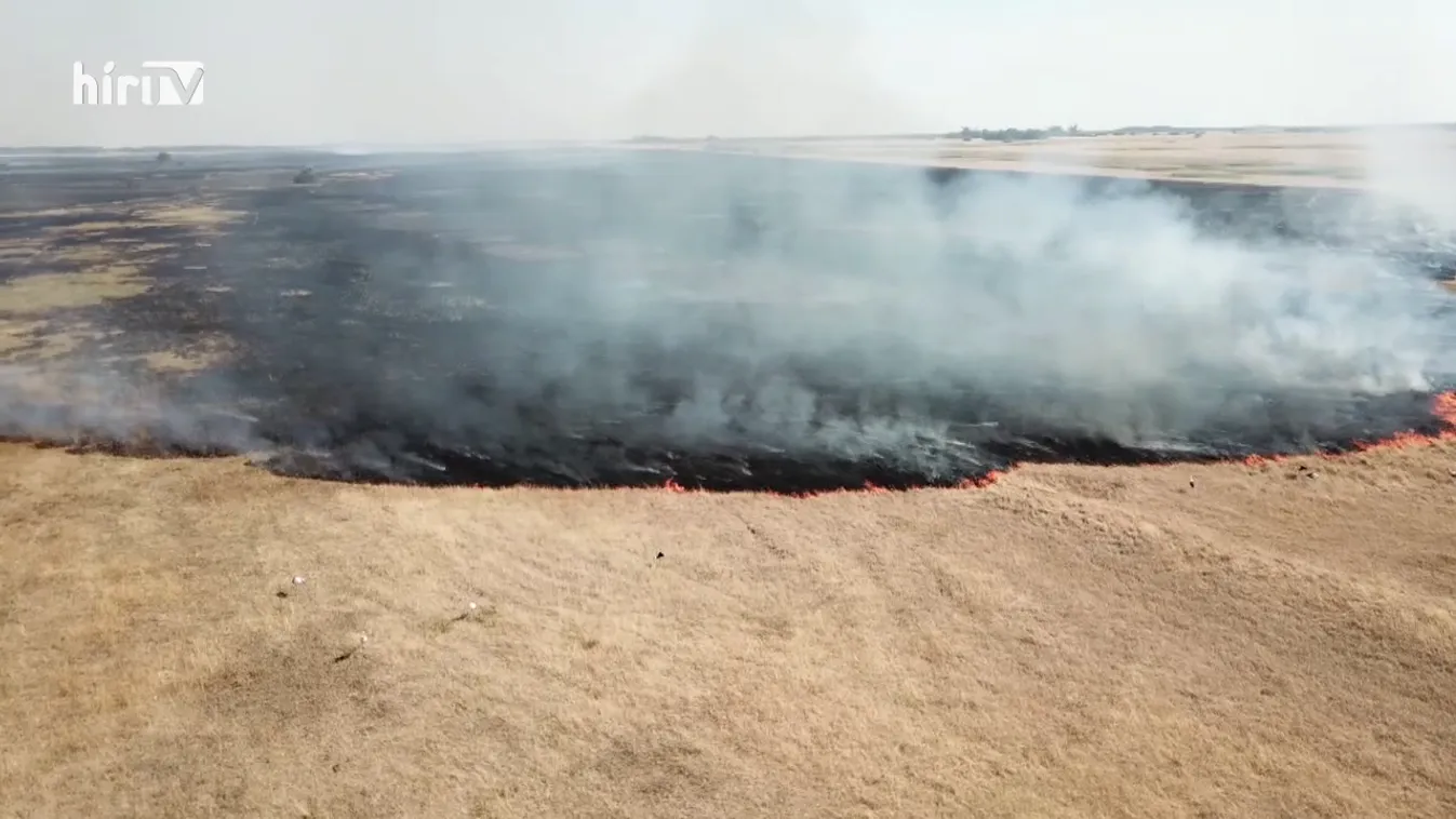 Zöldövezet: Nem kell tartanunk az elsivatagodástól
