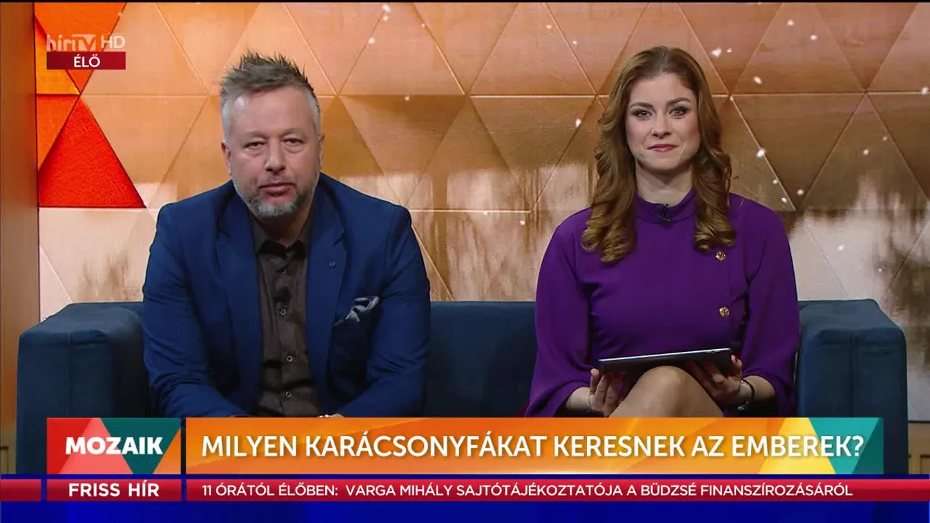 Mozaik - Milyen karácsonyfákat keresnek az emberek? (2022-12-20)