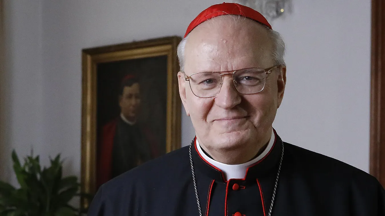 Erdő Péter bíboros, prímás: Szeretettel imádkozom Benedek pápáért