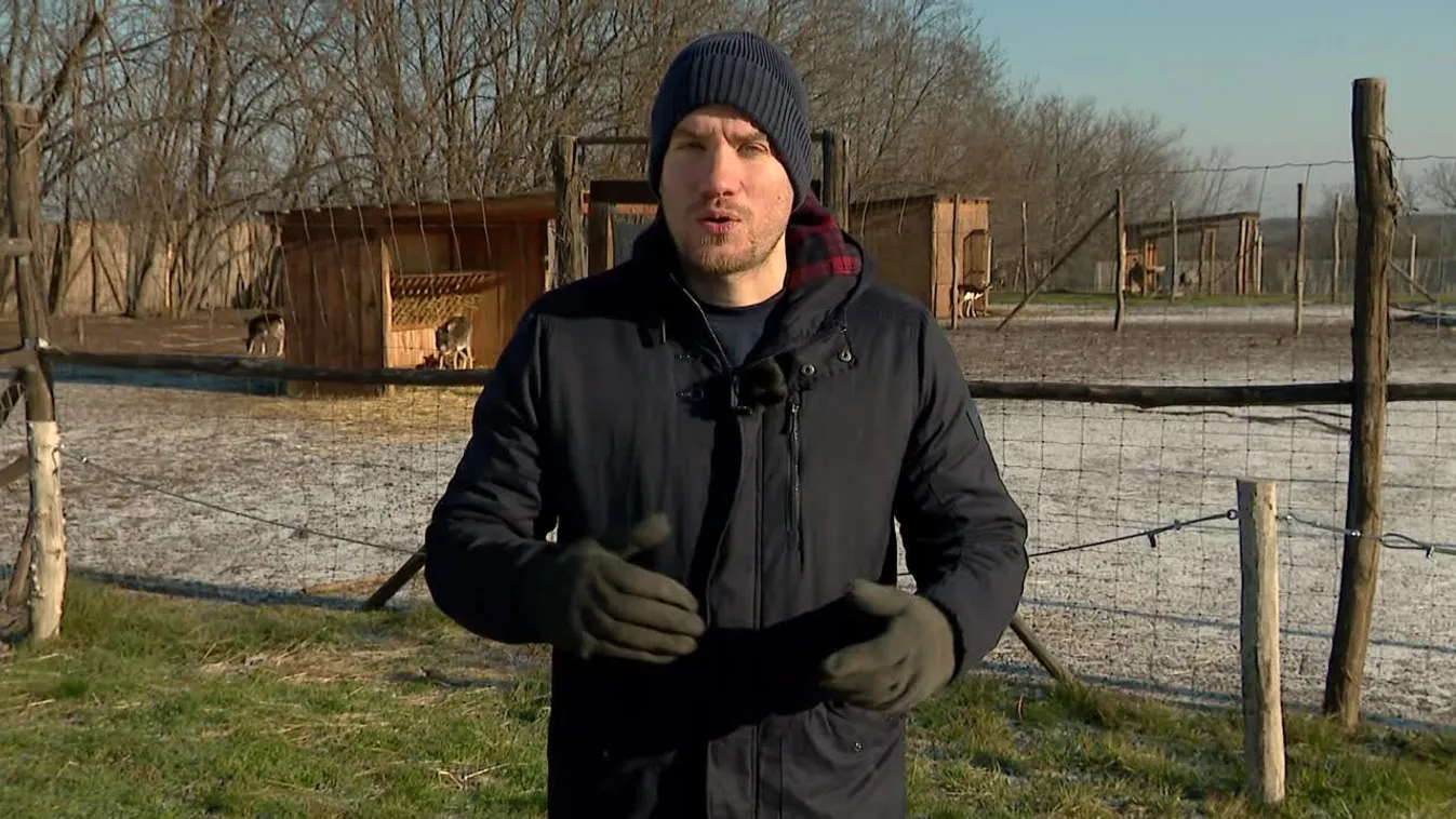 Timo jóslata az Franciaország-Marokkó mérkőzésre