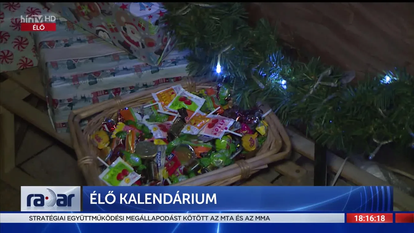 Radar - Élő kalendárium