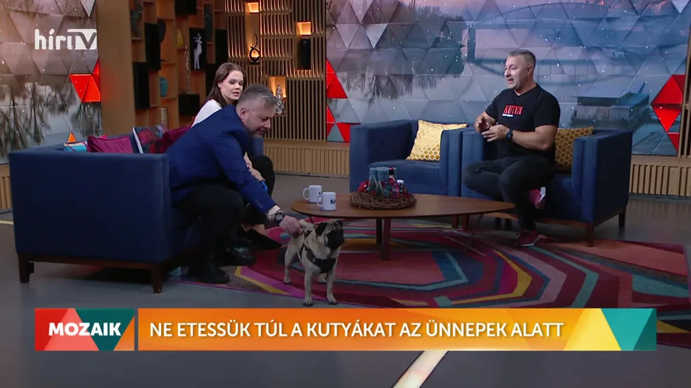 Mozaik - Ne etessük túl a kutyákat az ünnepek alatt