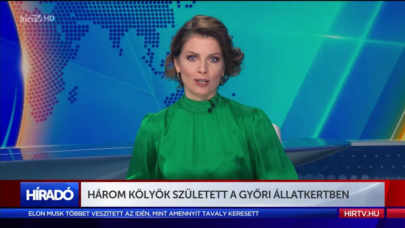 Három kölyök született a győri állatkertben