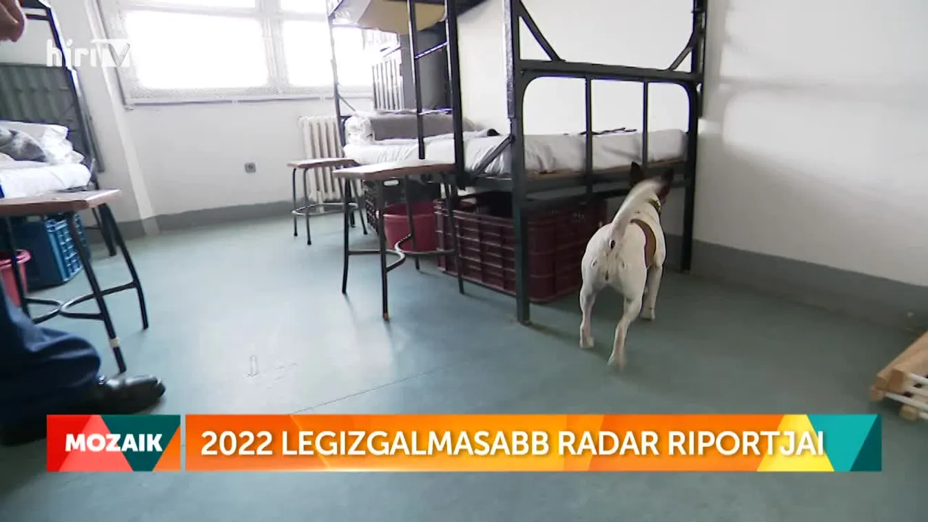 Mozaik - 2022 legizgalmasabb Radar riportjai (2022-12-28)