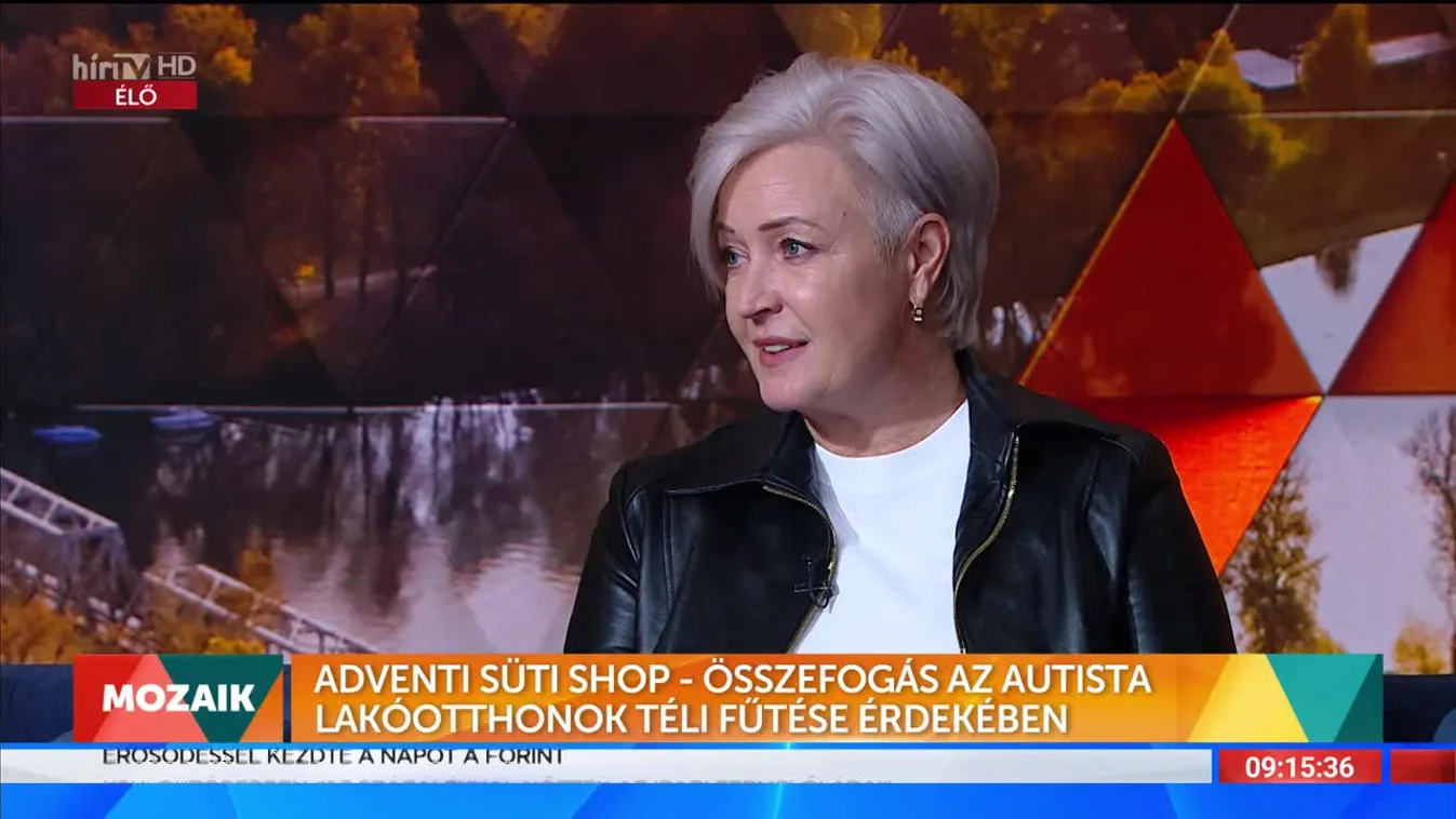 Mozaik - Adventi Süti Shop (2022-12-01)