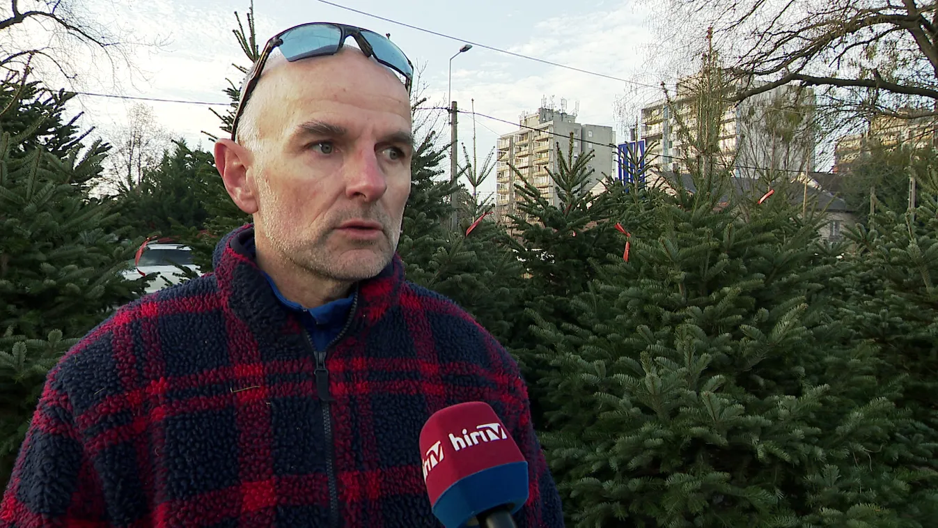 Műfenyő vagy igazi?