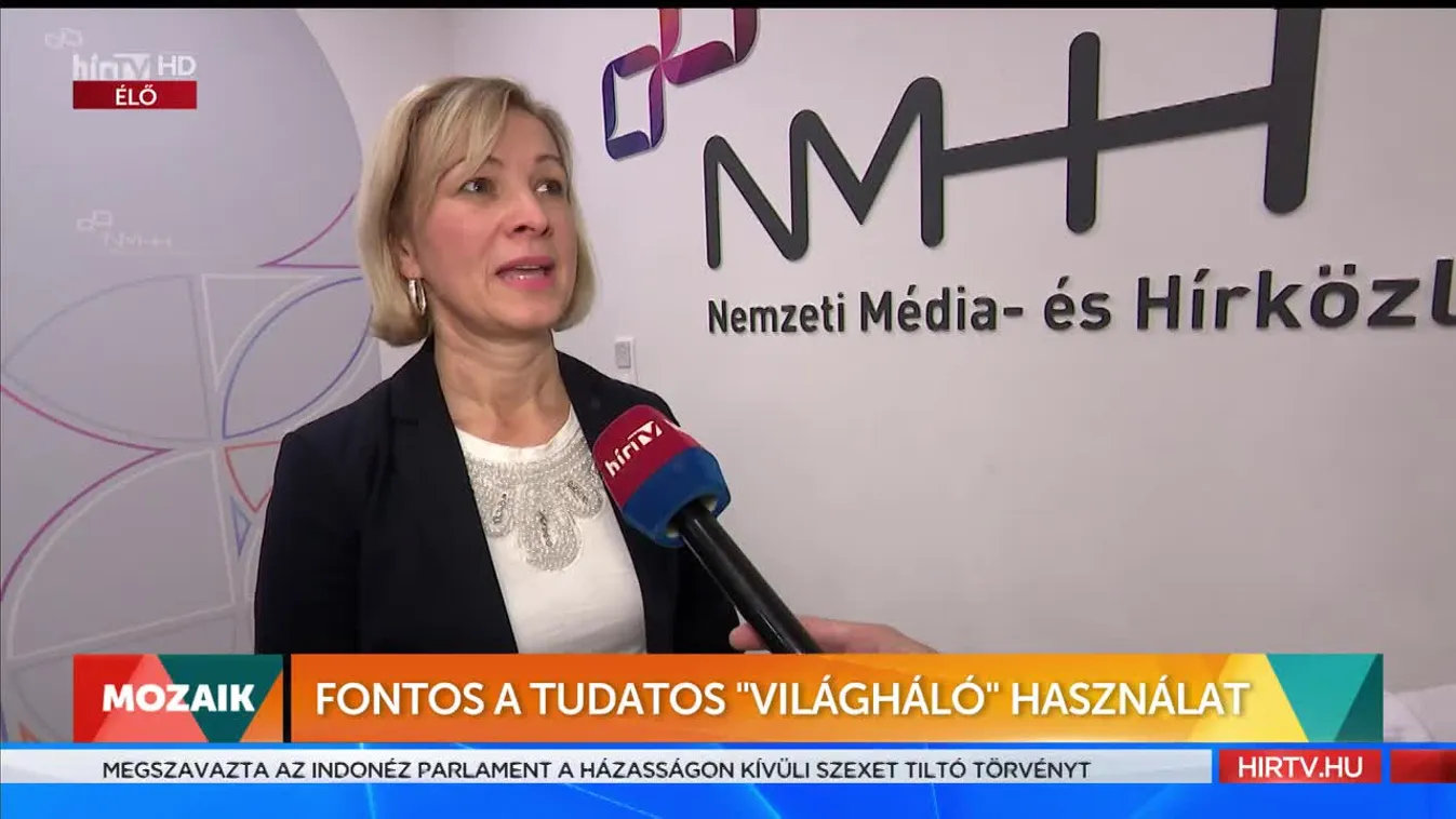 Mozaik - Fontos a tudatos világháló használat