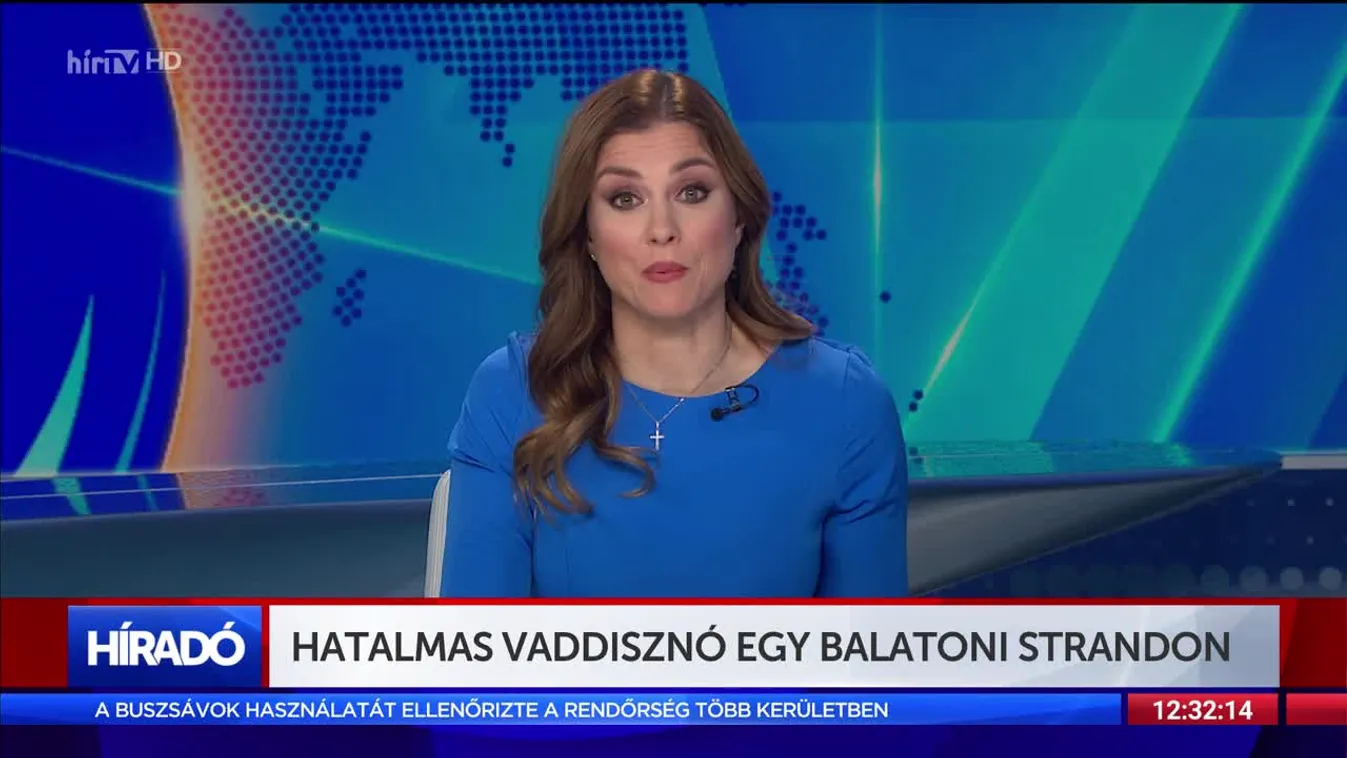 Hatalmas vaddisznó egy balatoni strandon