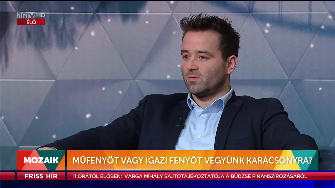 Mozaik - Műfenyőt vagy igazi fenyőt vegyünk karácsonyra?