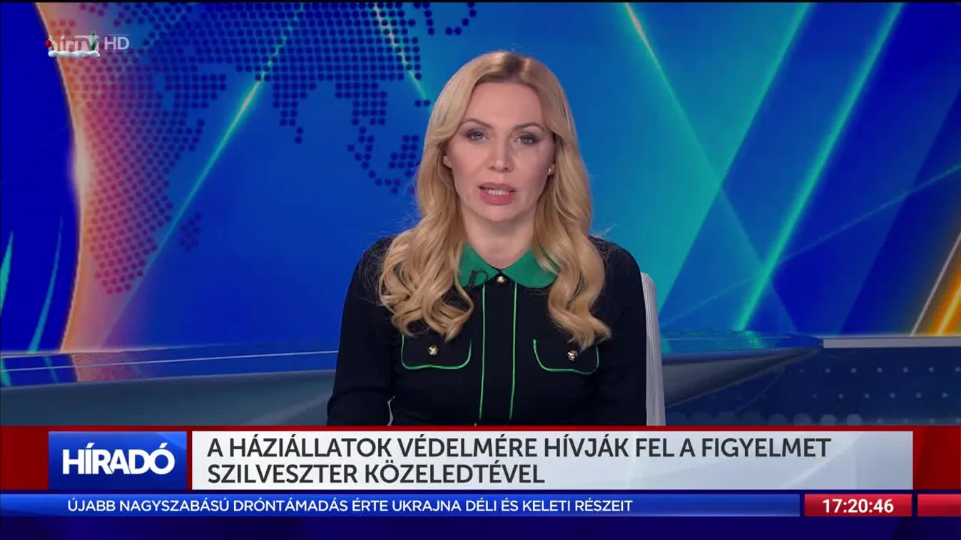 A háziállatok védelmére hívják fel a figyelmet szilveszter közeledtével