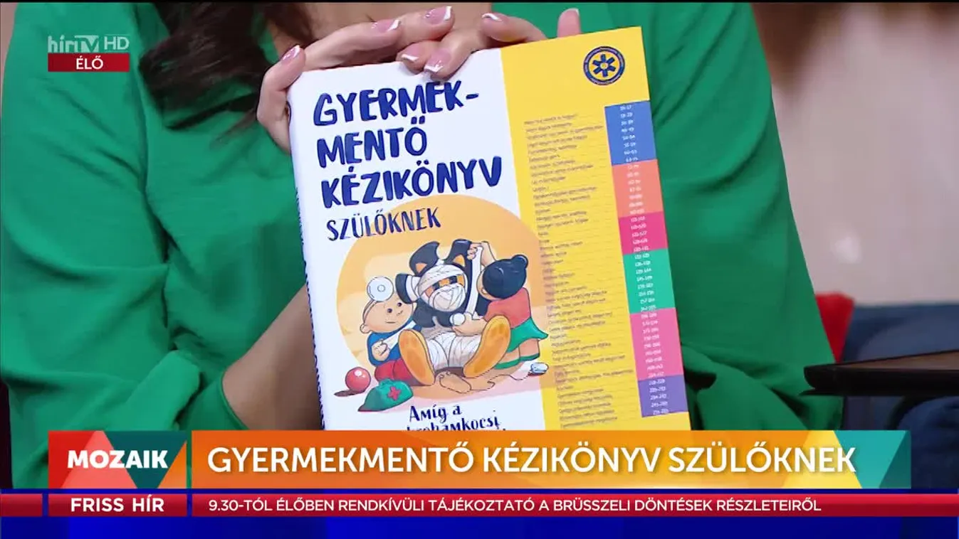 Mozaik - Gyermekmentő kézikönyv szülőknek