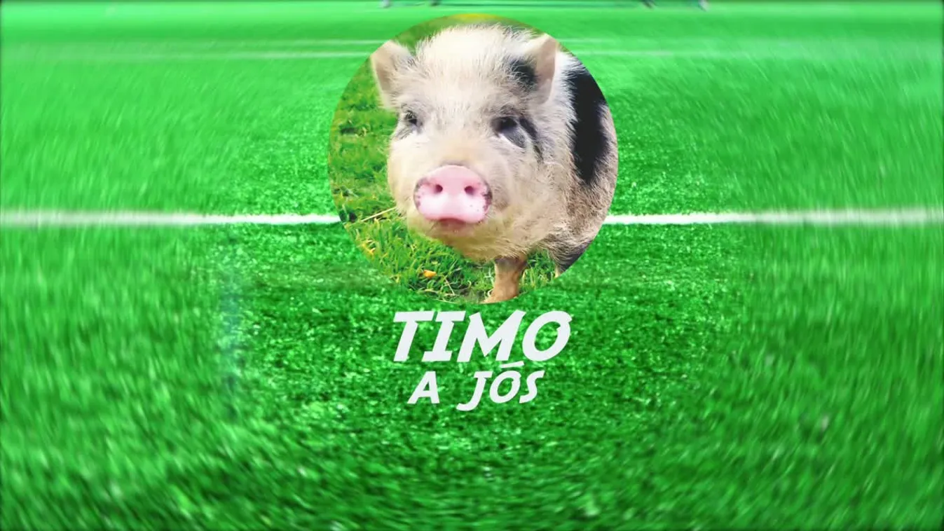 A horvátok vagy a brazilok táncolják jobban a szambát?