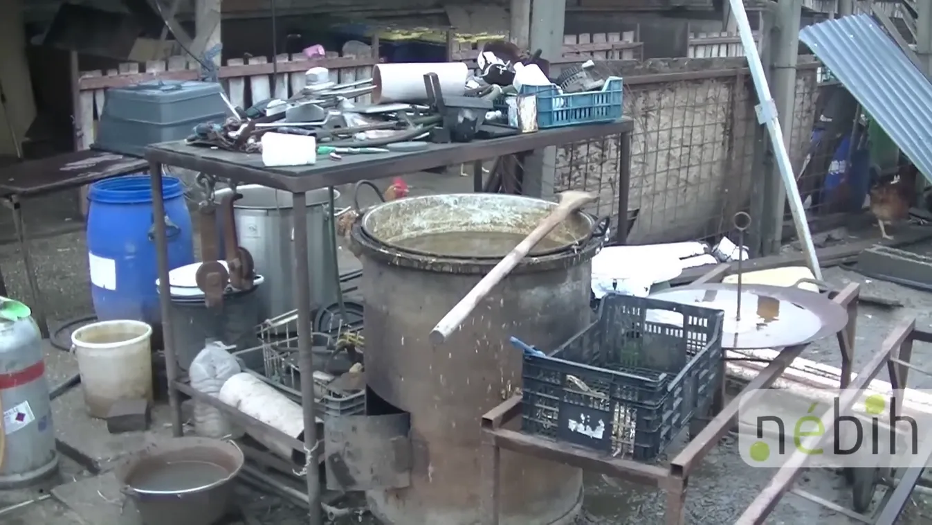 Radar - Horror húsüzemre csaptak le