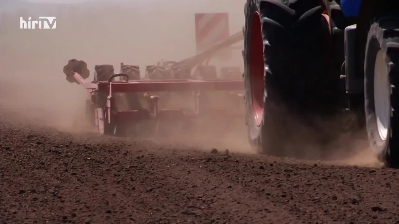 Zöldövezet (2022-12-18)