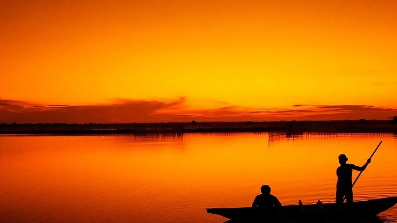 4 tonna halat loptak el egy Fejér megyei halgazdaságból