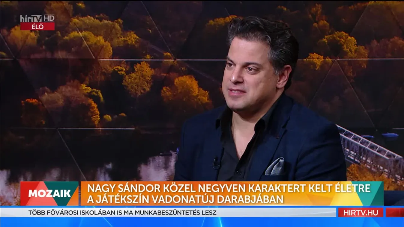 Mozaik - Nagy Sándor közel 40 karaktert kelt életre a Játékszín vadonatúj darabjában