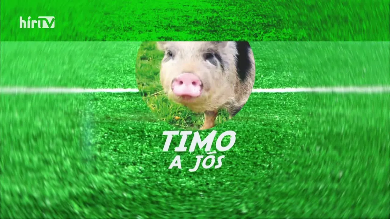 Radar - Timo jóslata a Szerbia-Svájc meccsre (2022-12-02)