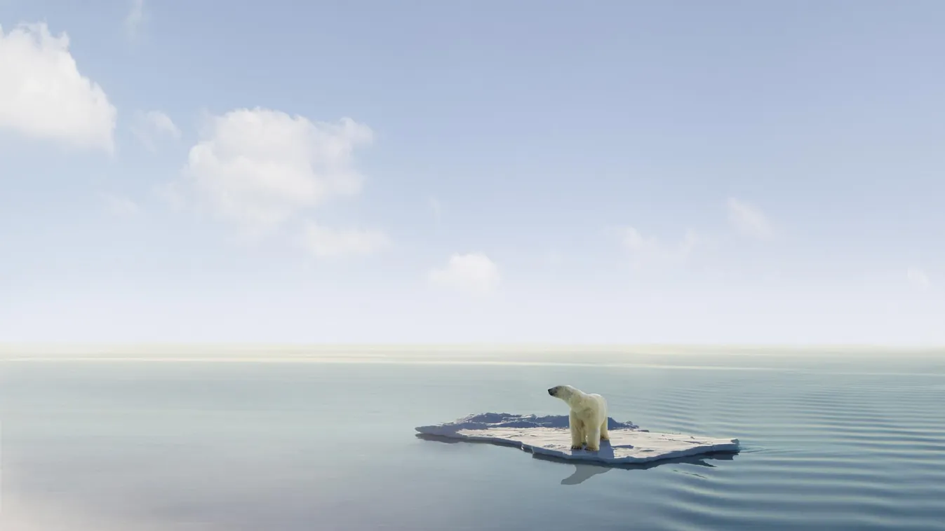 Drámai jelentést adott ki a Természetvédelmi Világalap