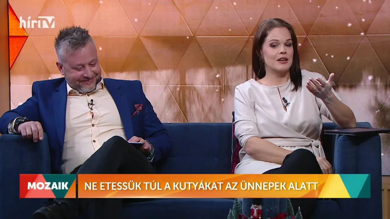 Mozaik - Ne etessük túl a kutyákat az ünnepek alatt (2022-12-09)