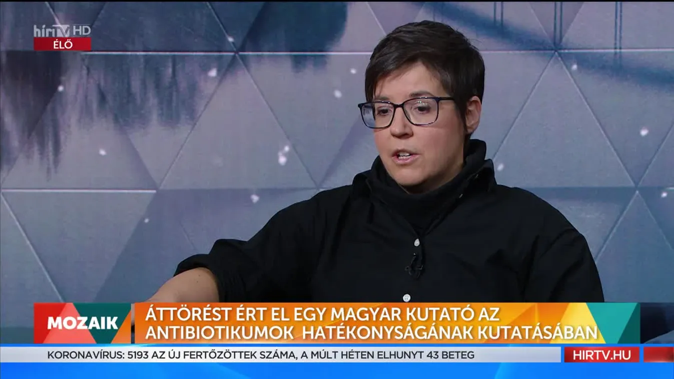 Mozaik - Áttörést ért el egy magyar kutató az antibiotikumok hatékonyságának kutatásában