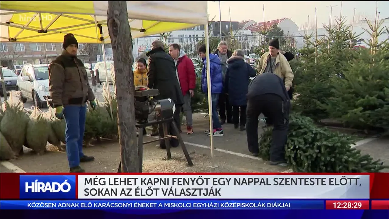 Még lehet kapni fenyőt egy nappal Szenteste előtt