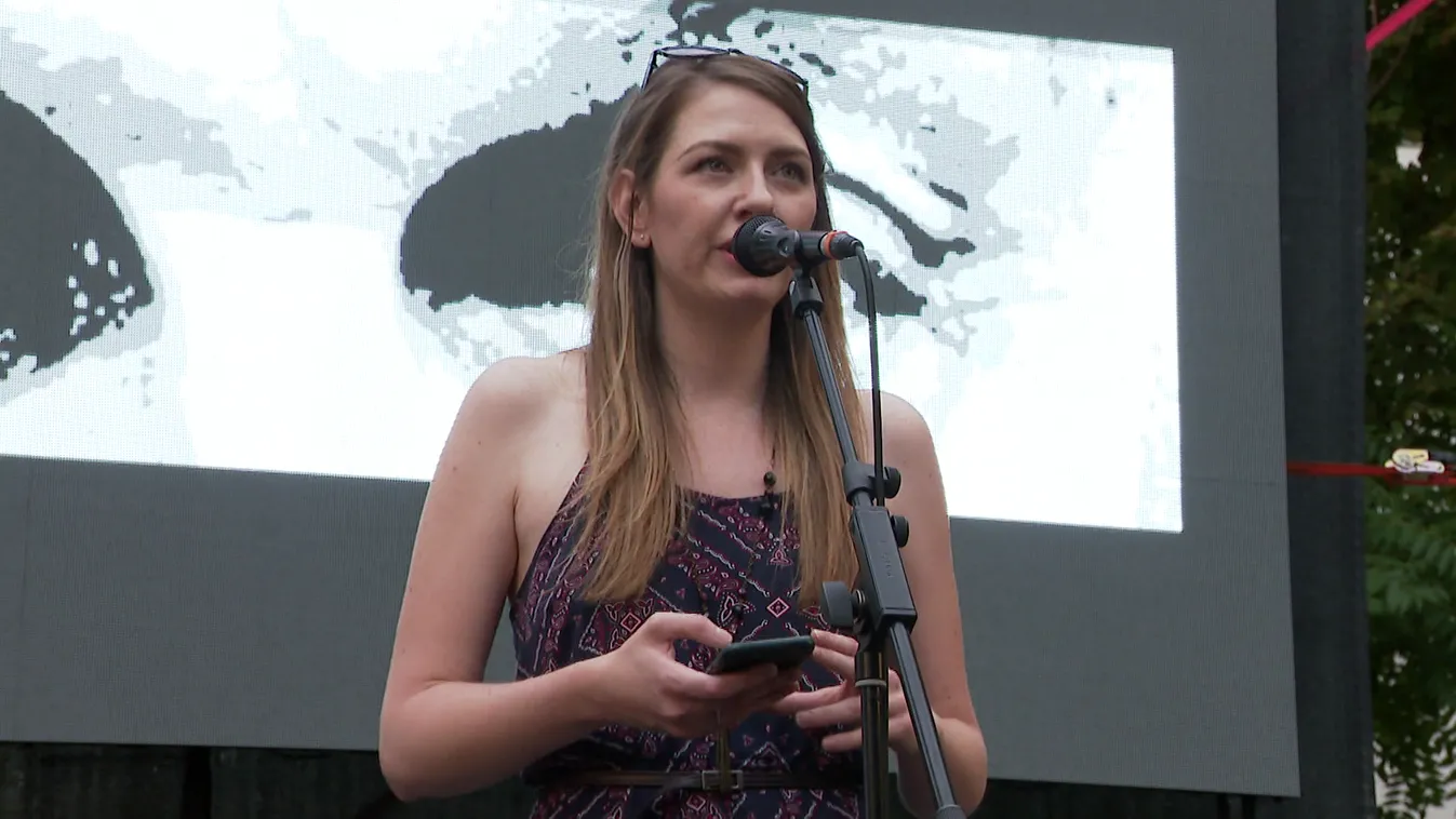 Kétségbeesetten várják Donáth visszatérését a Momentumban