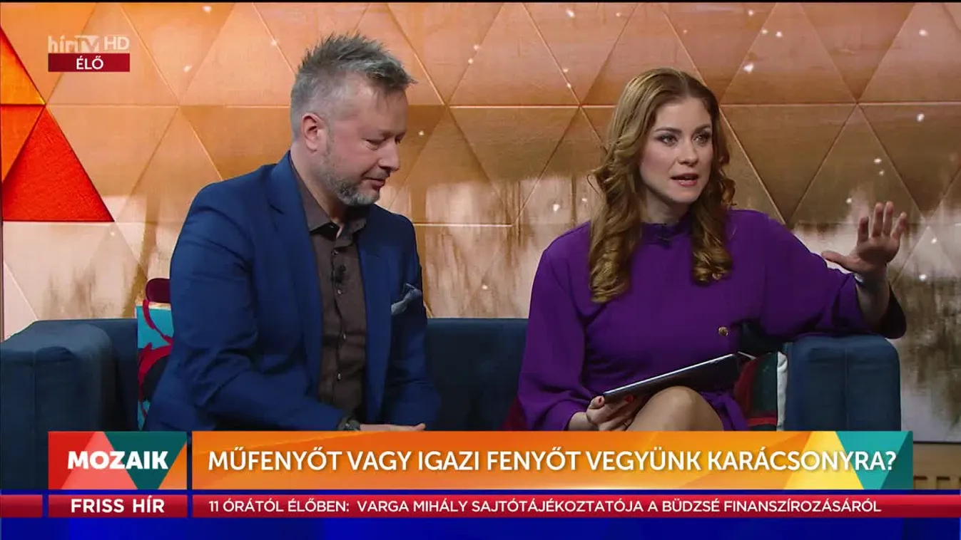 Mozaik - Műfenyőt vagy igazi fenyőt vegyünk karácsonyra? (2022-12-20)