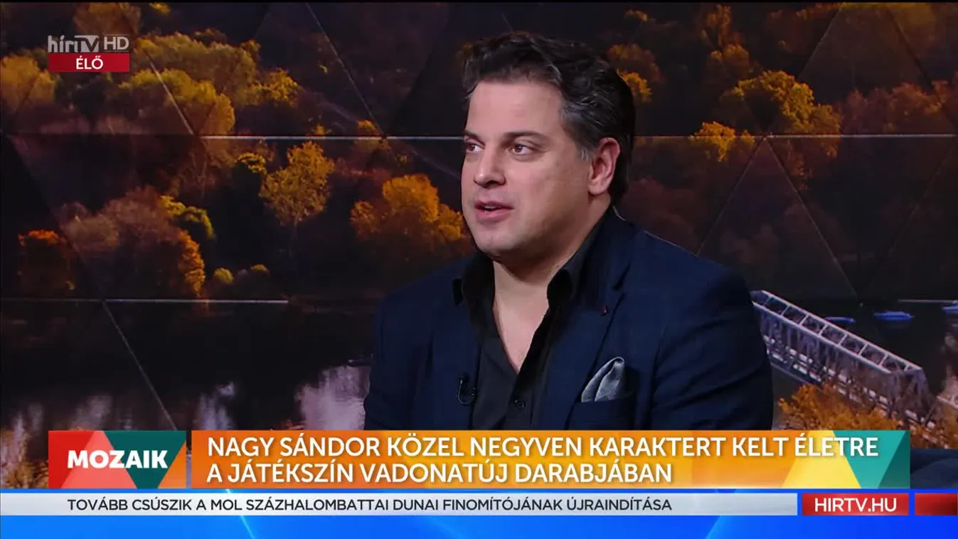 Mozaik - Nagy Sándor közel 40 karaktert kelt életre a Játékszín vadonatúj darabjában (2022-12-01)