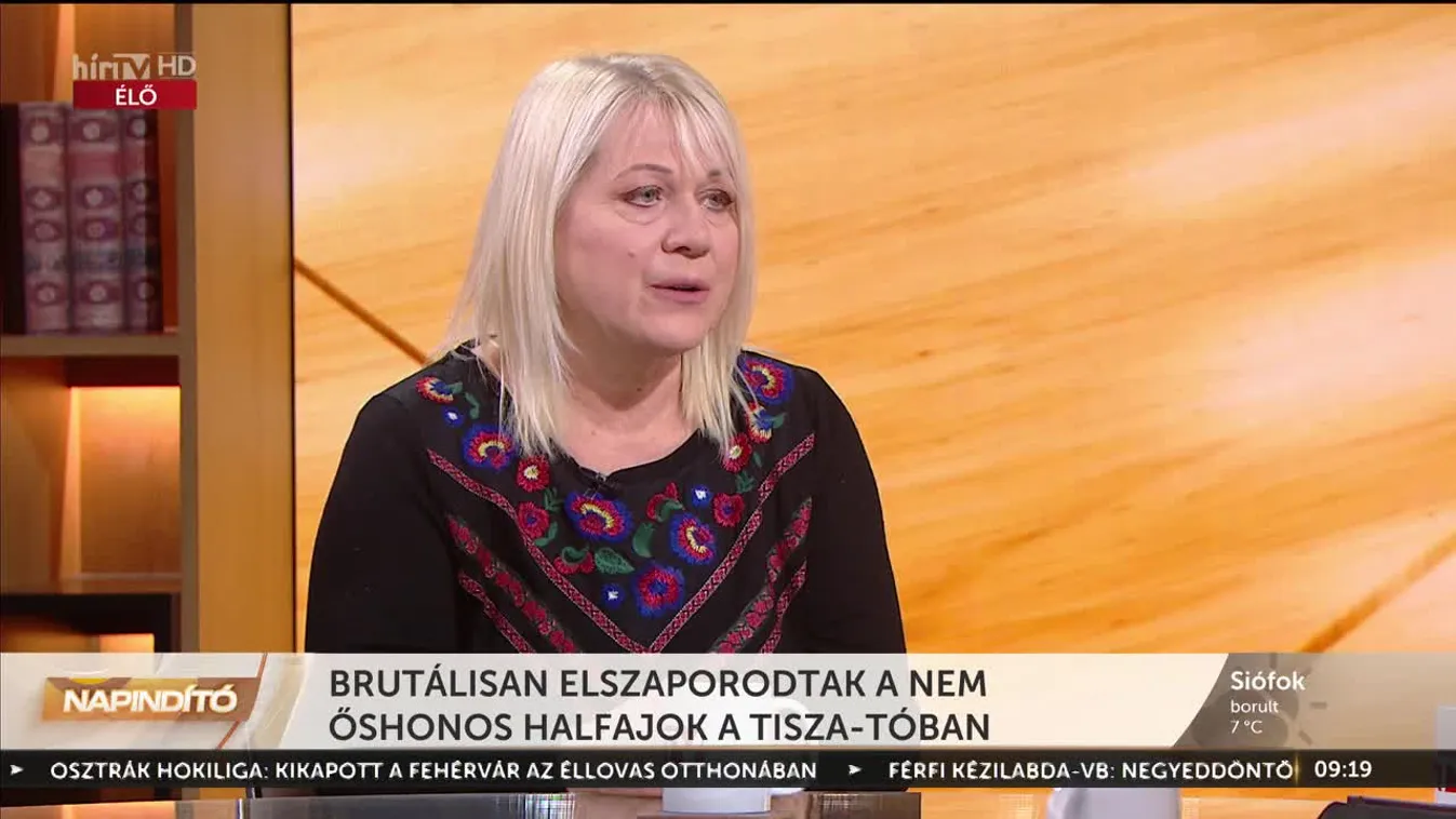 Napindító - Brutálisan elszaporodtak a nem őshonos halfajok a Tisza-tóban