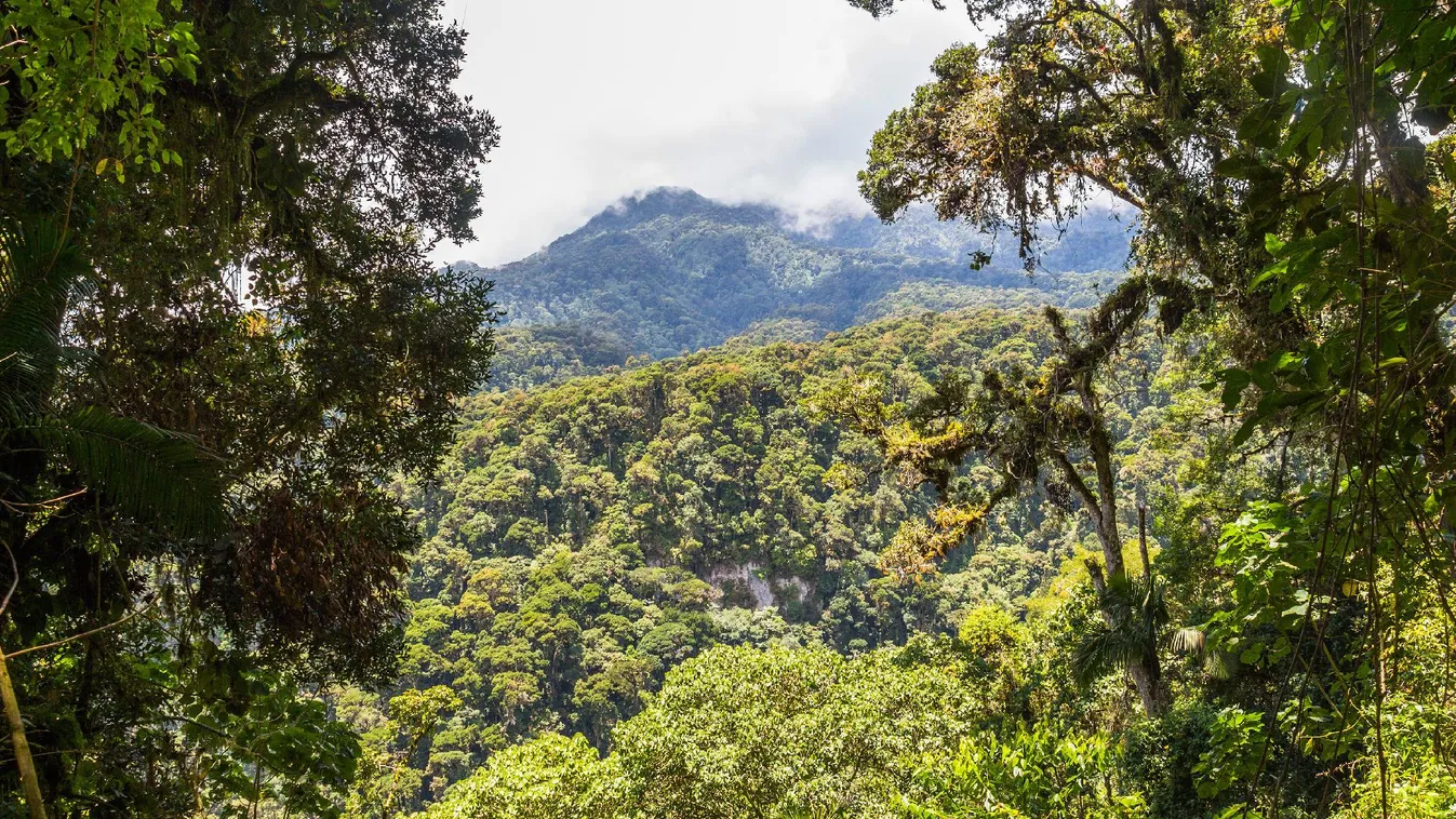 Panama: tavaly csaknem megkétszereződött a Darién-dzsungelen átkelő migránsok száma
