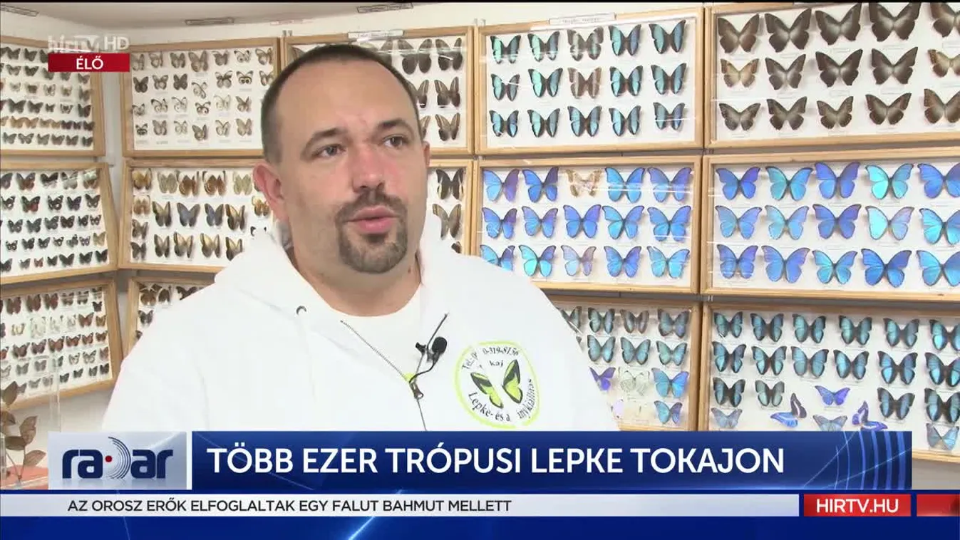 Radar - Több ezer trópusi lepke Tokajon