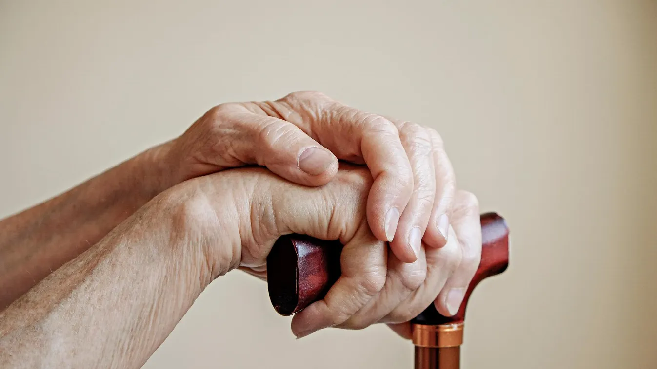 Illegális idősotthont számolt fel a NVSZ + videó