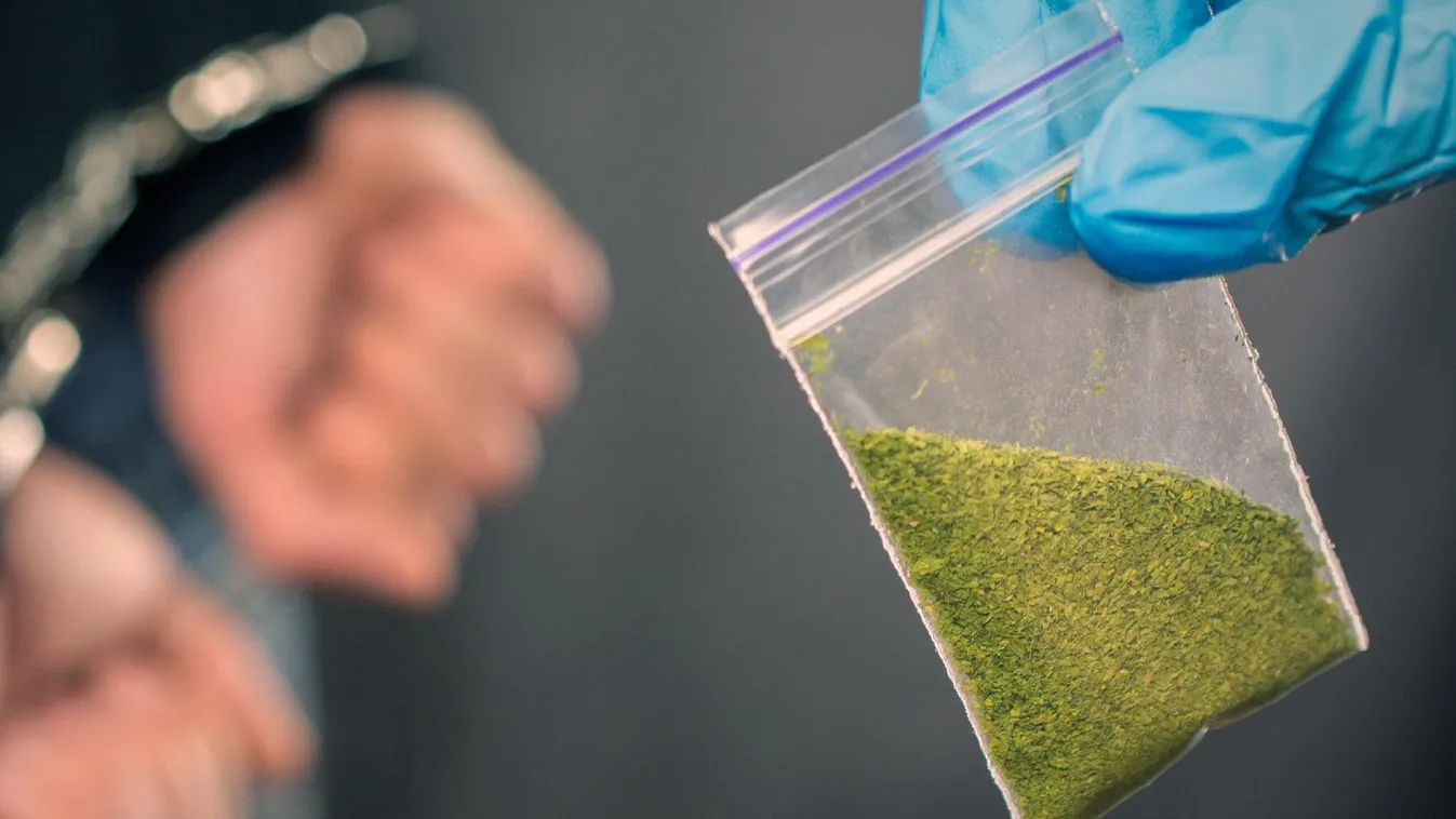 Fiatalokból álló drogterjesztő bandát számoltak fel Hajdú-Biharban