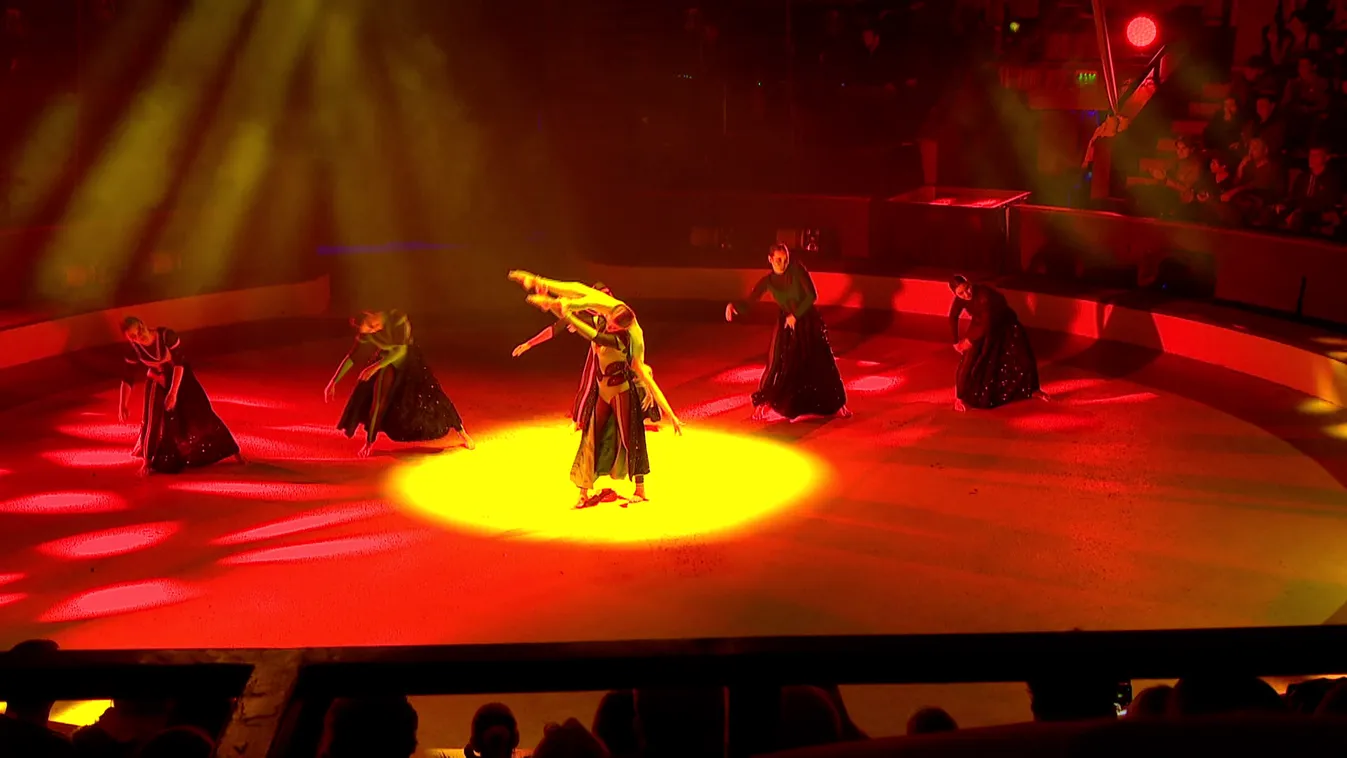 Radar - Fővárosi Nagycirkusz a menedék pont