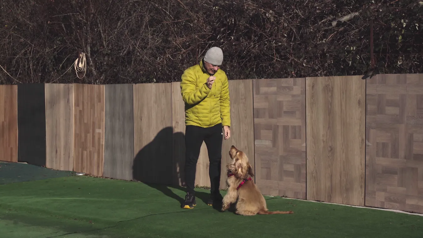 Radar - Kutyabajok: nyüszítő magány