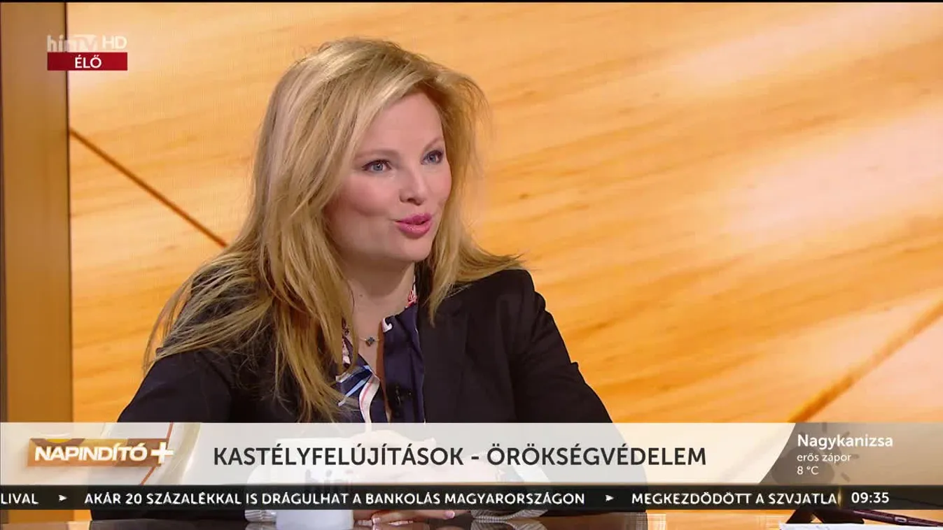 Napindító - Kastélyfelújítások - örökségvédelem (2023-01-17)