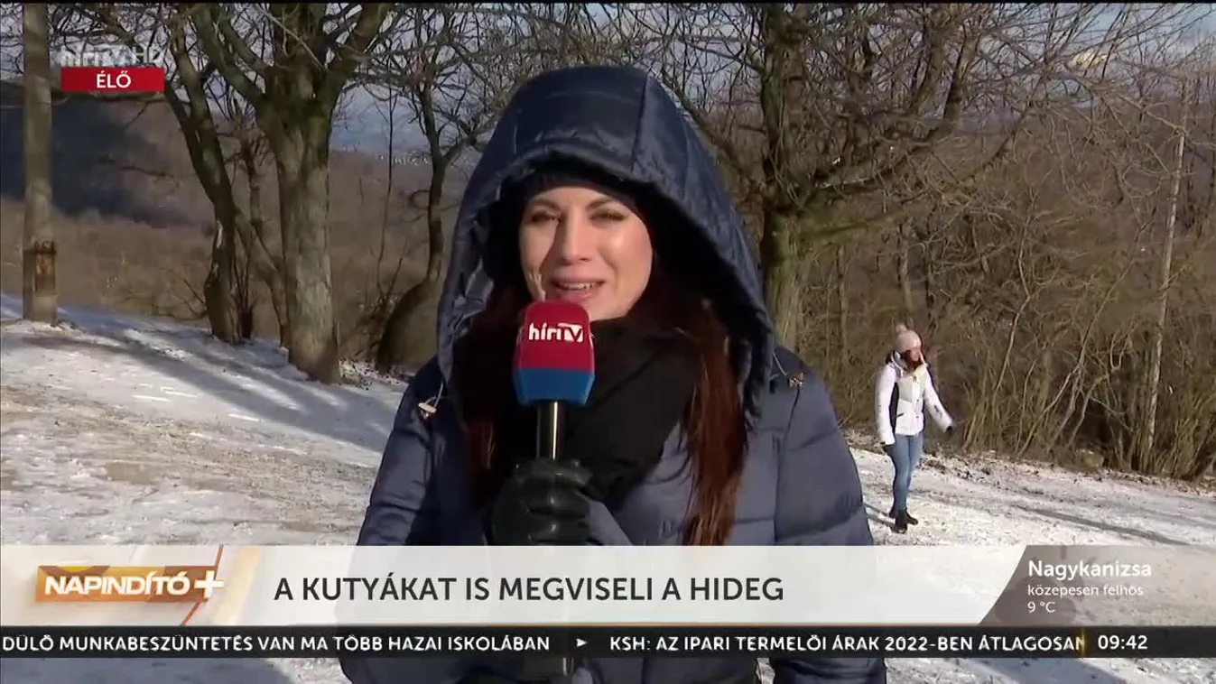 Napindító - A kutyákat is megviseli a hideg (2023-01-31)