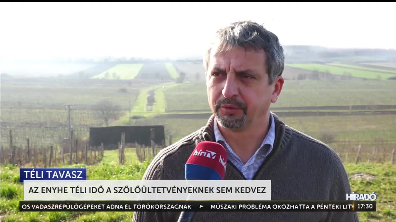 Az enyhe téli idő a szőlőültetvényeknek sem kedvez