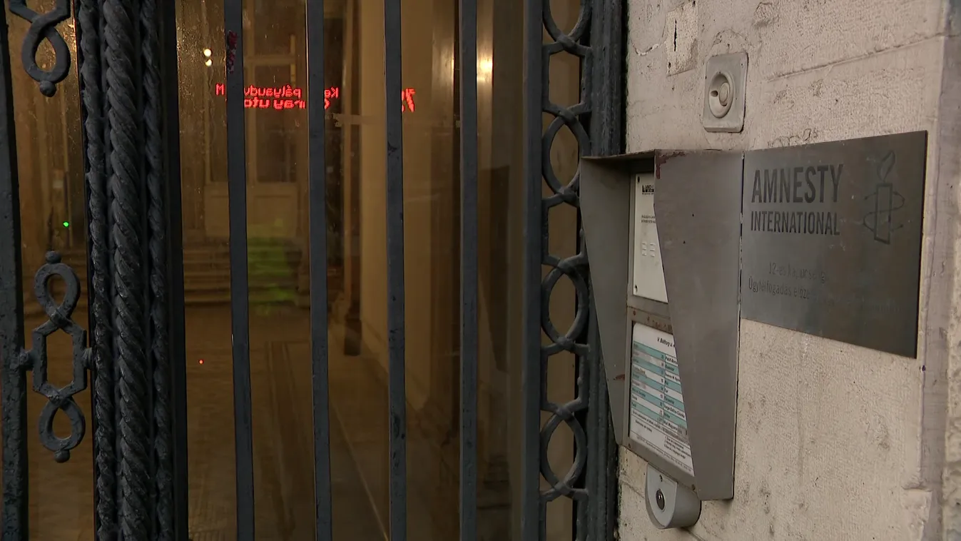 Munkahelyi bántalmazás az Amnesty International magyarország szervezetében