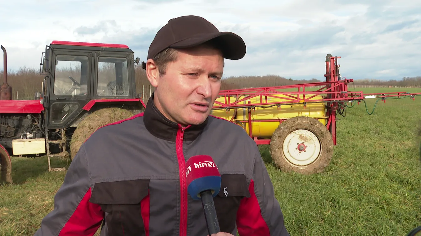 Károkat okoz az enyhe idő