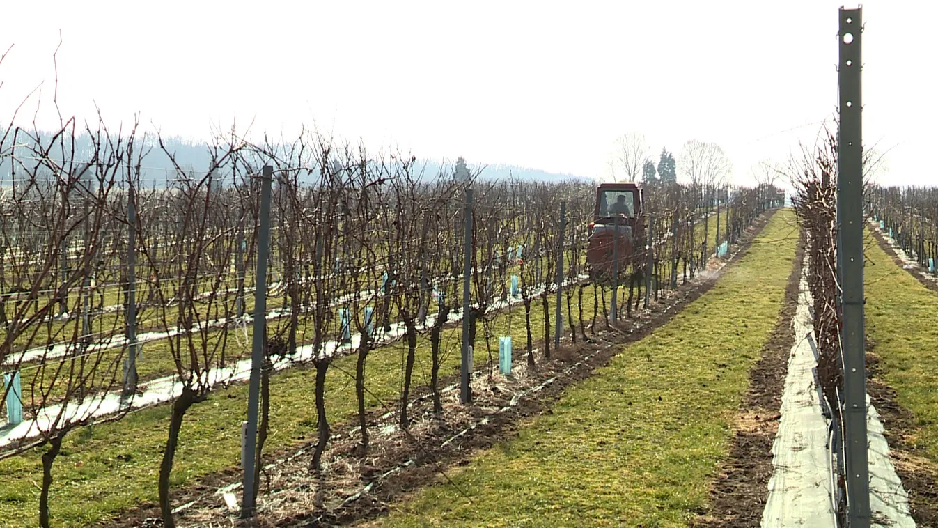 Hazánkban stabil az élelmezésbiztonság, és ez így lesz a jövőben is
