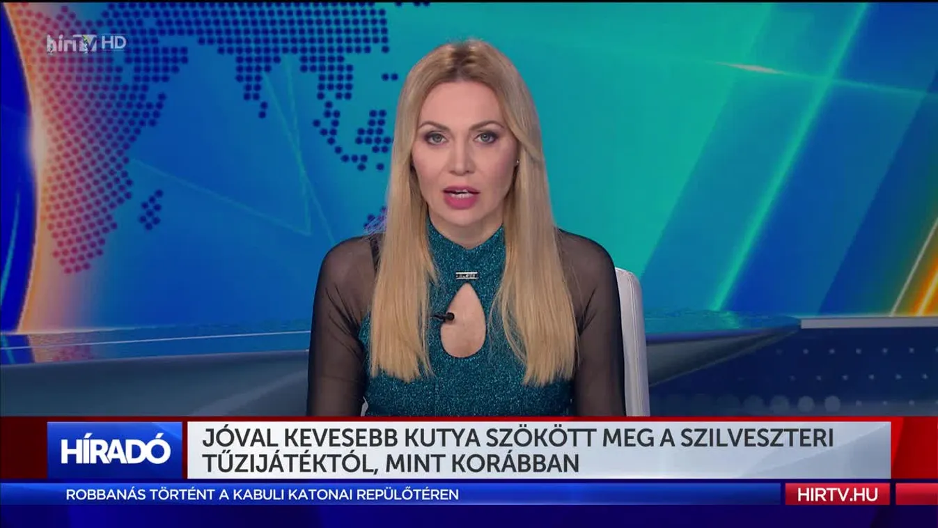 Jóval kevesebb kutya szökött meg a szilveszteri tűzijátéktól, mint korábban