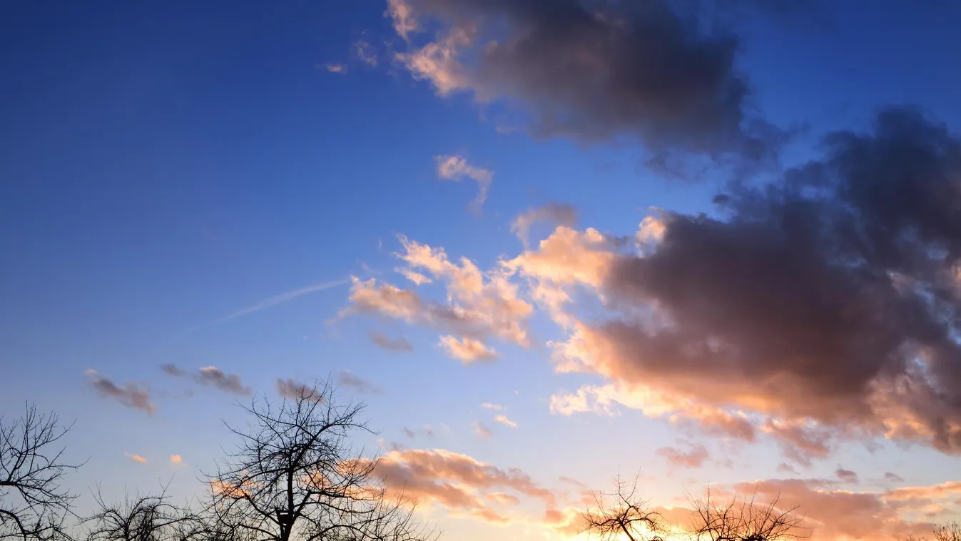 Különösen a gyümölcsfákra veszélyes a kora tavaszi idő