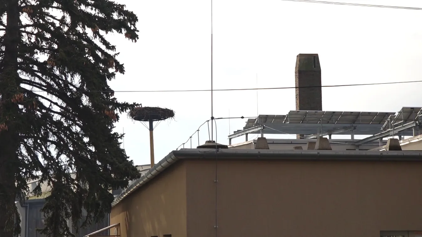 Pécsváradon a takarékoskodási intézkedések miatt még egy gólyafészket is át kellett telepíteni