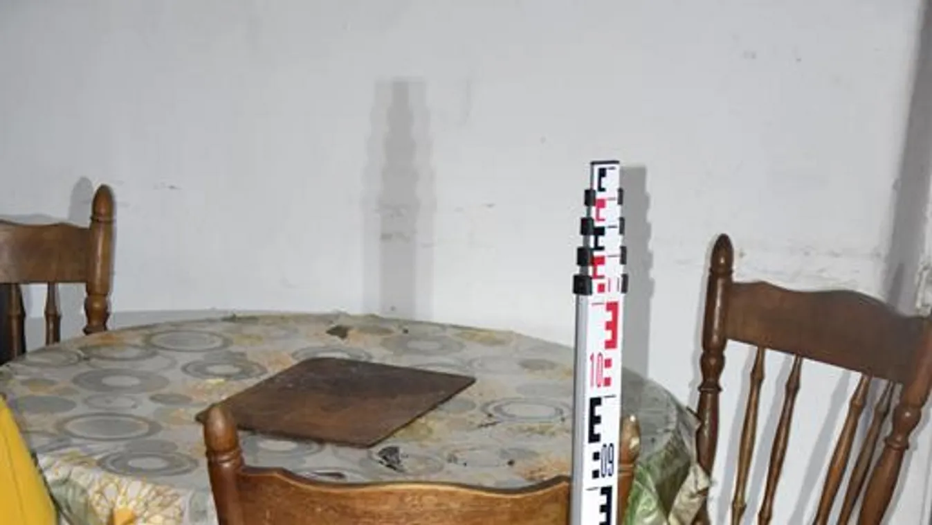 Egy székkel verte fejbe a féltestvérét