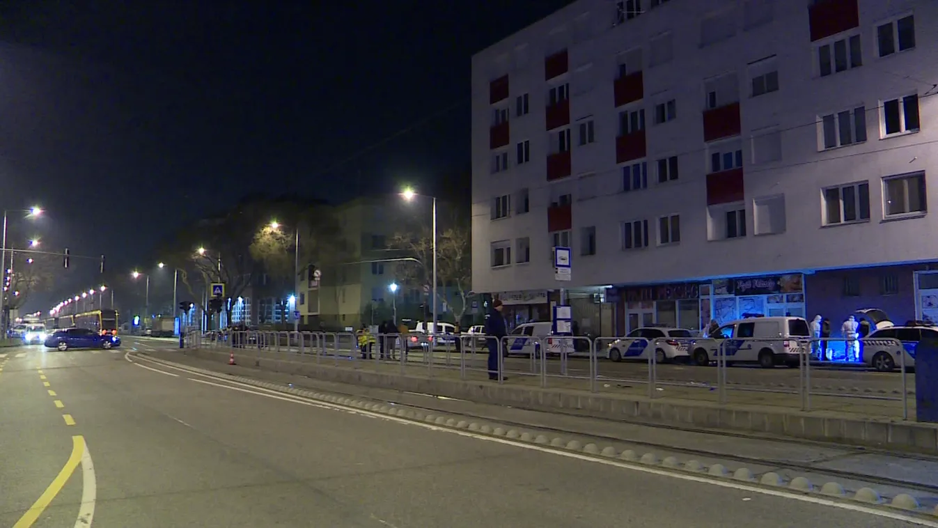 Február 15-ig elmegyógyintézetben marad a kegyetlen gyilkos